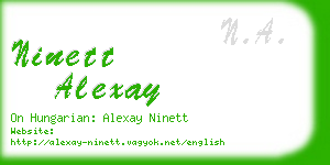 ninett alexay business card